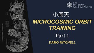 Microcosmic Orbit  Part 114  Intro [upl. by Anuait]