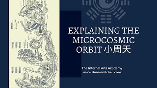 Microcosmic Orbit 小周天 Free InDepth Training with Damo Mitchell [upl. by Neerom]