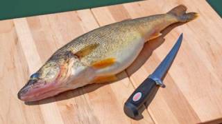 How to Fillet Fish  Freshwater [upl. by Notsirt]