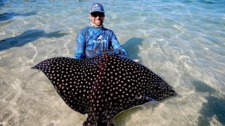 Food Chain Fishing Challenge 2  Tiny Crabs to Giant Eagle Ray [upl. by Brawley]