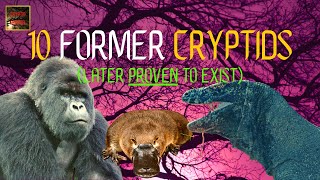 10 Cryptids Now PROVEN to be Real  New amp Updated List [upl. by Velvet971]