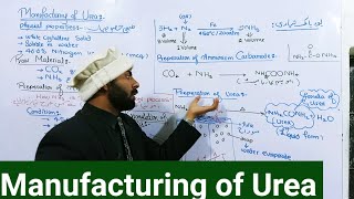 Manufacturing of urea  10th Class chemistry  chno16 [upl. by Chandler695]