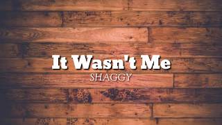 Shaggy  It Wasnt me Lyrics [upl. by Aneled]