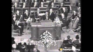 Martin Luther King Jr Nobel Peace Prize Acceptance Speech [upl. by Nilde]