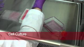 Foodborne Illness Outbreak Investigation Behind the Scences [upl. by Kovar]