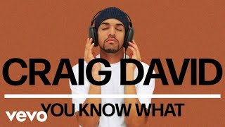 Craig David  You Know What Official Audio [upl. by Drof]