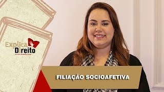 Explica Direito Filiação Socioafetiva  2019 [upl. by Areval]