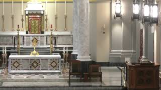 Sacred Heart Cathedral Live Stream [upl. by Andres]