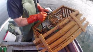 Lobster Fishing In Twillingate Newfoundland [upl. by Sarkaria]