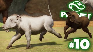 Making Albino Babas  Planet Zoo  Ep10 HD [upl. by Mosby]