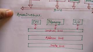 bus structure in hindi  Lec10  COA  Niharika Panda [upl. by Enyal277]