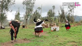 Danzas de Amazonas  EL BRAZO [upl. by Fredrick]