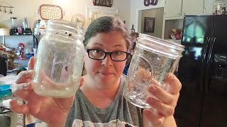 How to clean old dirty mason jars easy method 100 clean [upl. by Gratt]