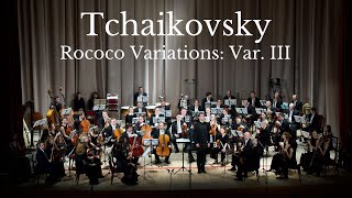 Tchaikovsky  Rococò Variations Var III Metamorphose String Orchestra [upl. by Studdard]