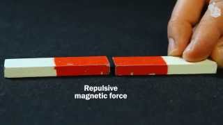 Video Lab Magnetic forces [upl. by Geis101]