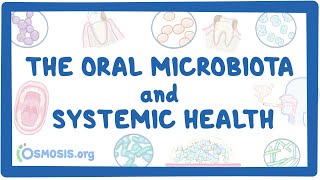 The Oral Microbiota and Systemic Health [upl. by Connelley]