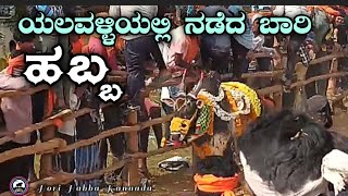 ಯಲವಳ್ಳಿ ಹೋರಿ ಹಬ್ಬ Hori Habba Kannada [upl. by Anailil]