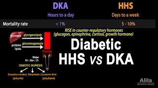 Hyperosmolar Hyperglycemic State Diabetic HHS vs DKA Animation [upl. by Yvor728]