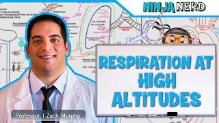 Respiratory  Respiration at High Altitudes [upl. by Ravi]