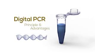 Digital PCR Principle amp Advantages [upl. by Shana]