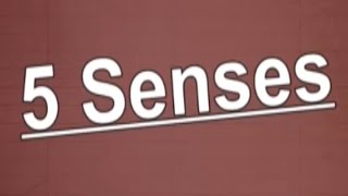 5 Senses Song  The 5 Senses  5 Sense for Kids  Jack Hartmann [upl. by Ecerahc]