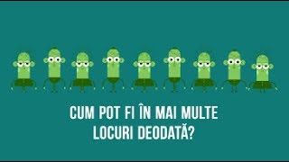 eConsulat  Cum fac o procură [upl. by Manus423]