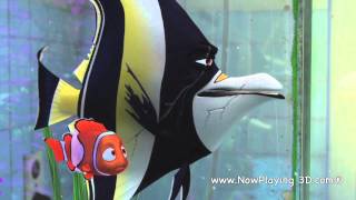 Finding Nemo 3D quotGil and Nemoquot [upl. by Ise]