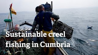 Sustainable creel fishing in Cumbria [upl. by Teryn]