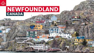 Canada Road Trip Best Things To Do In Newfoundland [upl. by Cida229]