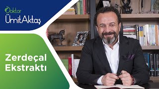 Zerdeçal Ekstraktı [upl. by Akirre]