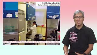 Cytotoxicity Assays 1 In vitro study and cell culture [upl. by Tri547]