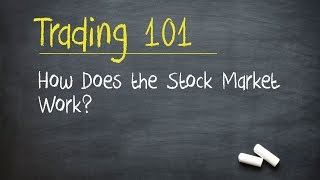 Trading 101 How Does the Stock Market Work [upl. by Aldrich]