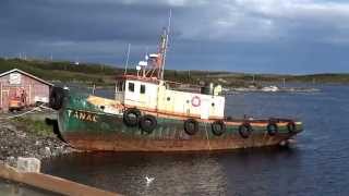 Newfoundland [upl. by Witkin]