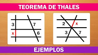 TEOREMA DE THALES  EXPLICACIÓN  EJEMPLO [upl. by Yoko]