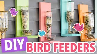 DIY Bird Feeders [upl. by Elletsirk]