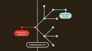 Tort Law tutorial Proximate Causation  quimbeecom [upl. by Gemoets184]