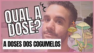 Cogumelos A Dose ideal [upl. by Cordier699]