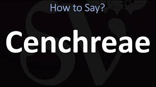 How to Pronounce Cenchreae CORRECTLY [upl. by Elwin]