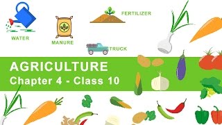 Agriculture  Chapter 4 Geography NCERT Class 10 [upl. by Rehportsirhc]