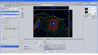 ZEISS ZEN 23 Working with Ultrafast Deconvolution GPU DCV [upl. by Laehplar]