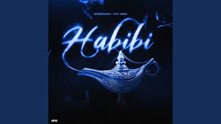 Habibi [upl. by Craven]