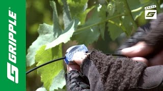 Installing Nylon Fruiting Wires feat Gripple Plus [upl. by Kazmirci]