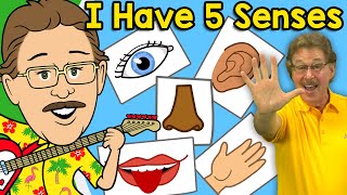 I Have Five Senses Jack Hartmann Senses Song [upl. by Ahsinoj946]