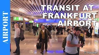 TRANSIT WALK AT FRANKFURT Airport FRA Terminal 1  Connection Flight Transfer Arriving amp Departing [upl. by Wailoo561]